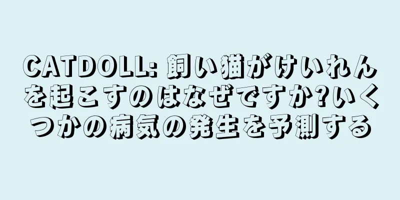 CATDOLL: 飼い猫がけいれんを起こすのはなぜですか?いくつかの病気の発生を予測する