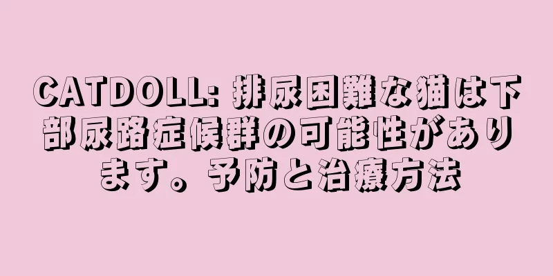 CATDOLL: 排尿困難な猫は下部尿路症候群の可能性があります。予防と治療方法