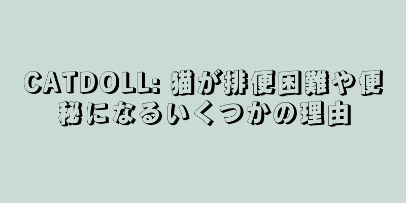 CATDOLL: 猫が排便困難や便秘になるいくつかの理由