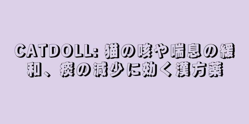 CATDOLL: 猫の咳や喘息の緩和、痰の減少に効く漢方薬