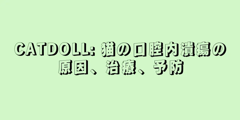 CATDOLL: 猫の口腔内潰瘍の原因、治療、予防
