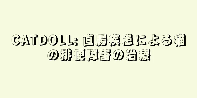 CATDOLL: 直腸疾患による猫の排便障害の治療