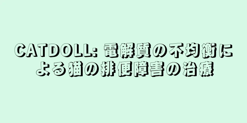 CATDOLL: 電解質の不均衡による猫の排便障害の治療