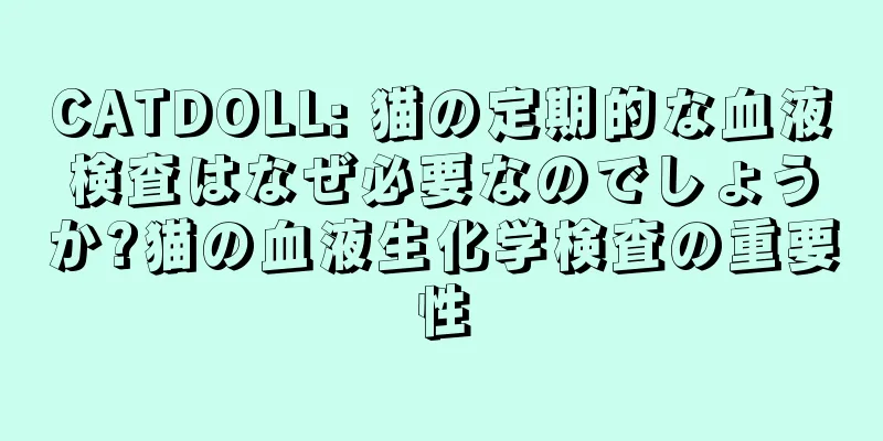 CATDOLL: 猫の定期的な血液検査はなぜ必要なのでしょうか?猫の血液生化学検査の重要性