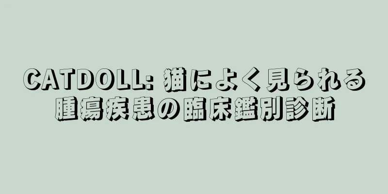 CATDOLL: 猫によく見られる腫瘍疾患の臨床鑑別診断