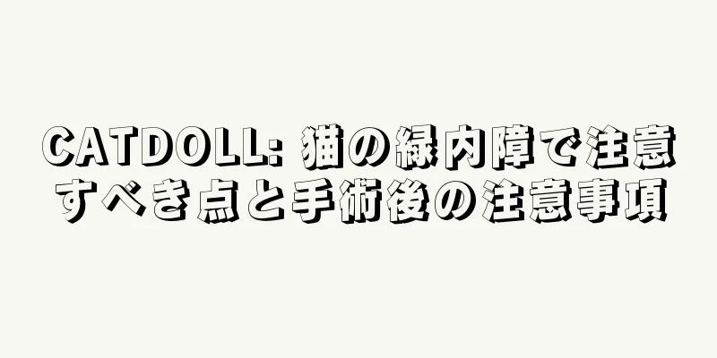 CATDOLL: 猫の緑内障で注意すべき点と手術後の注意事項
