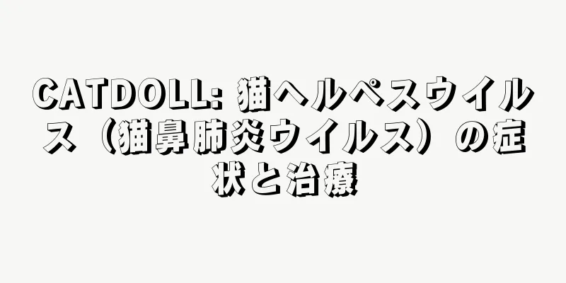 CATDOLL: 猫ヘルペスウイルス（猫鼻肺炎ウイルス）の症状と治療