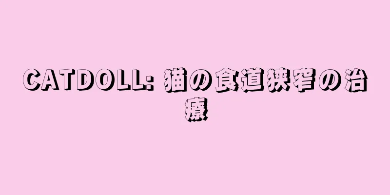 CATDOLL: 猫の食道狭窄の治療