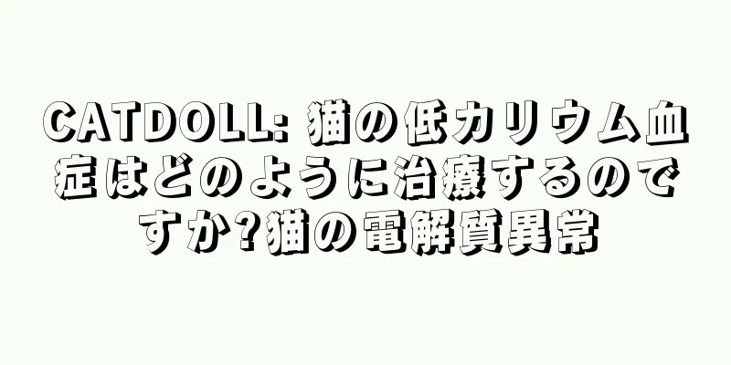 CATDOLL: 猫の低カリウム血症はどのように治療するのですか?猫の電解質異常