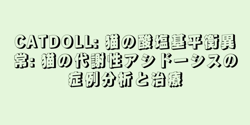 CATDOLL: 猫の酸塩基平衡異常: 猫の代謝性アシドーシスの症例分析と治療