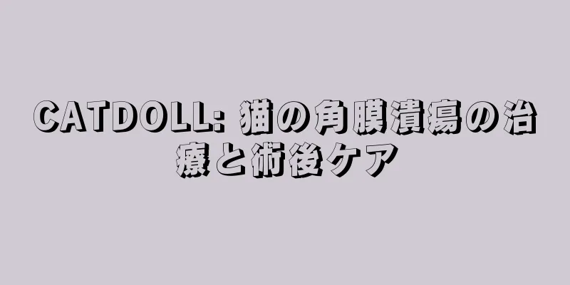 CATDOLL: 猫の角膜潰瘍の治療と術後ケア