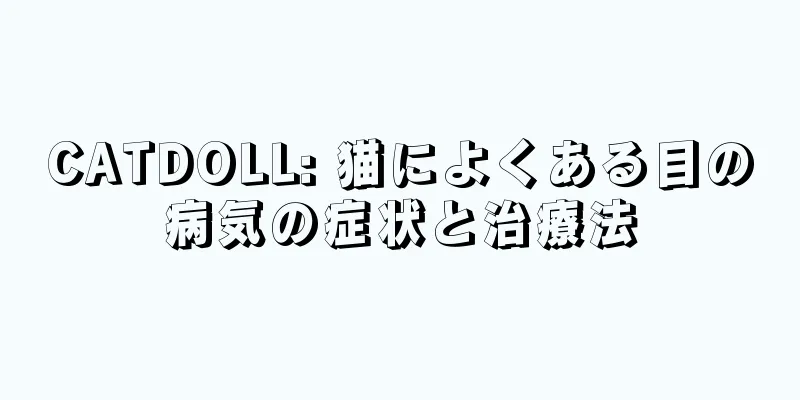CATDOLL: 猫によくある目の病気の症状と治療法