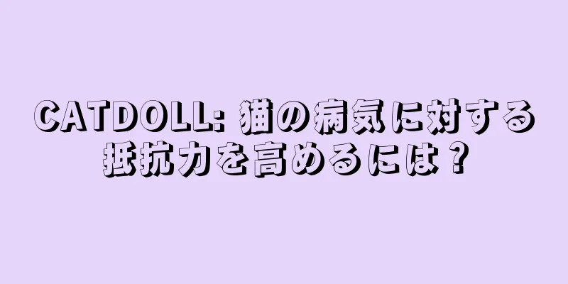 CATDOLL: 猫の病気に対する抵抗力を高めるには？