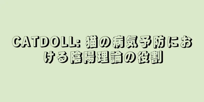 CATDOLL: 猫の病気予防における陰陽理論の役割