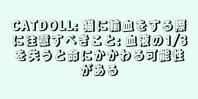 CATDOLL: 猫に輸血をする際に注意すべきこと: 血液の1/3を失うと命にかかわる可能性がある