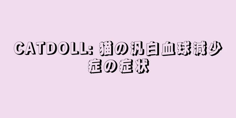 CATDOLL: 猫の汎白血球減少症の症状