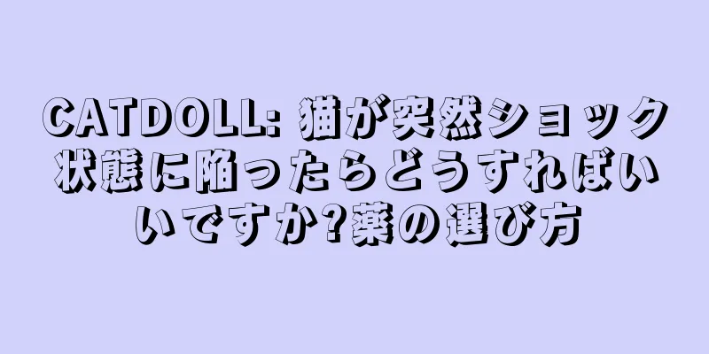 CATDOLL: 猫が突然ショック状態に陥ったらどうすればいいですか?薬の選び方
