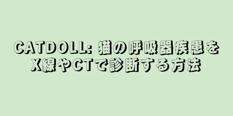 CATDOLL: 猫の呼吸器疾患をX線やCTで診断する方法