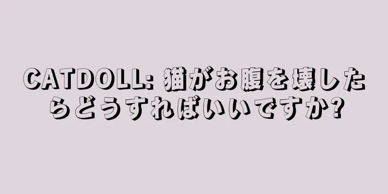 CATDOLL: 猫がお腹を壊したらどうすればいいですか?