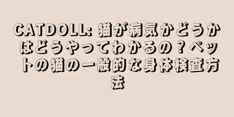 CATDOLL: 猫が病気かどうかはどうやってわかるの？ペットの猫の一般的な身体検査方法