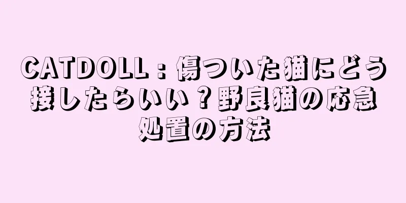CATDOLL : 傷ついた猫にどう接したらいい？野良猫の応急処置の方法