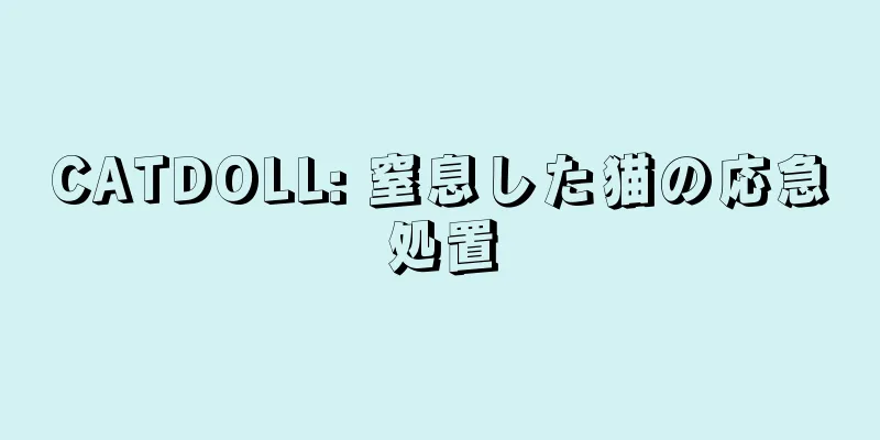 CATDOLL: 窒息した猫の応急処置