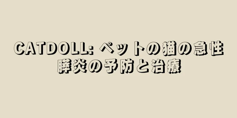 CATDOLL: ペットの猫の急性膵炎の予防と治療