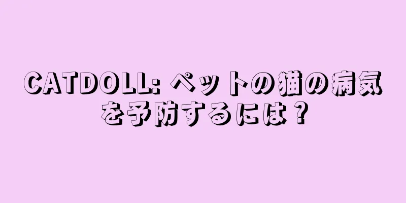 CATDOLL: ペットの猫の病気を予防するには？