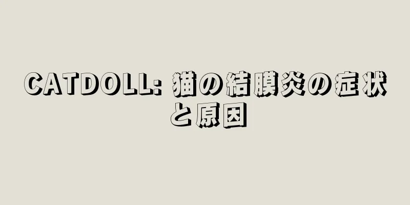 CATDOLL: 猫の結膜炎の症状と原因