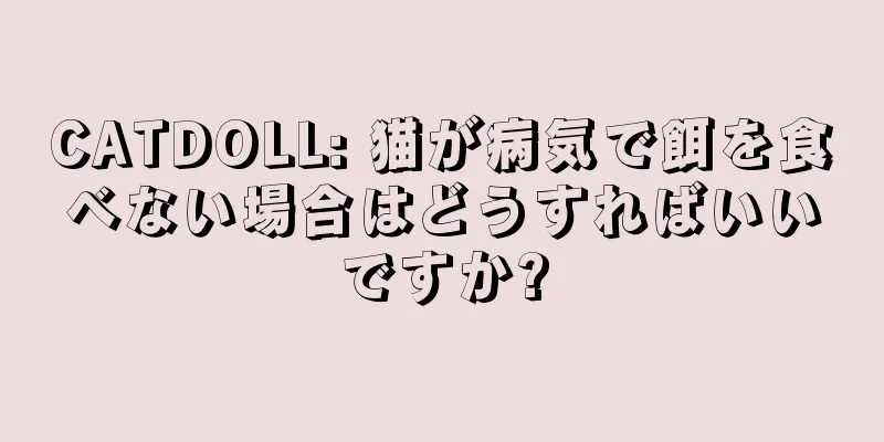 CATDOLL: 猫が病気で餌を食べない場合はどうすればいいですか?