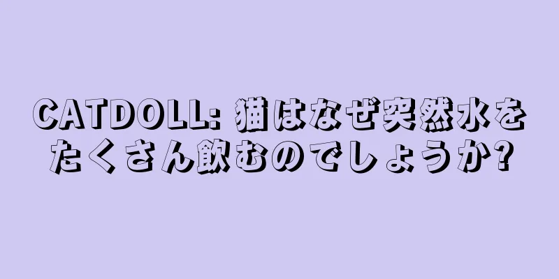 CATDOLL: 猫はなぜ突然水をたくさん飲むのでしょうか?
