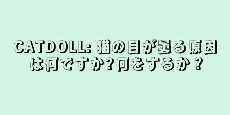 CATDOLL: 猫の目が曇る原因は何ですか?何をするか？
