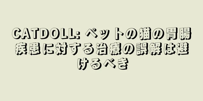 CATDOLL: ペットの猫の胃腸疾患に対する治療の誤解は避けるべき