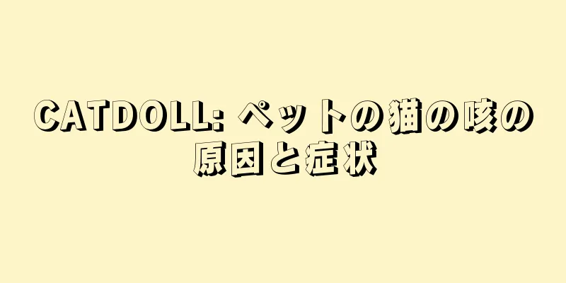 CATDOLL: ペットの猫の咳の原因と症状