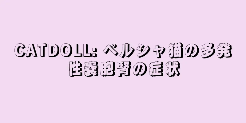 CATDOLL: ペルシャ猫の多発性嚢胞腎の症状