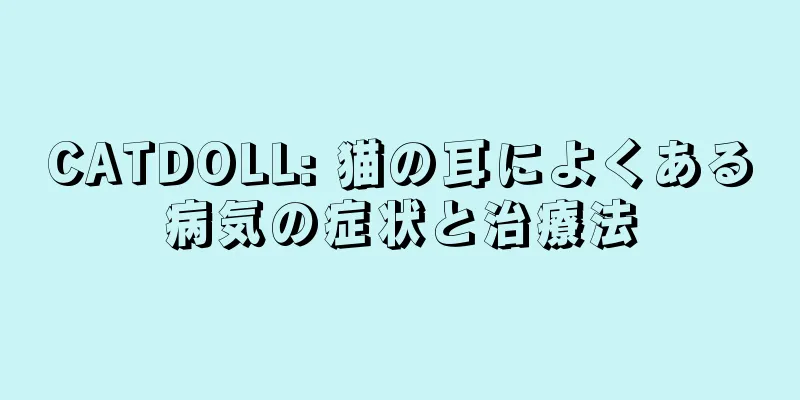 CATDOLL: 猫の耳によくある病気の症状と治療法