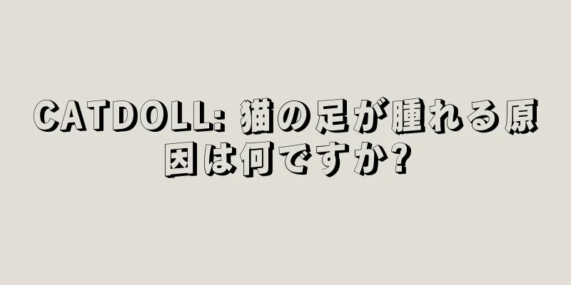 CATDOLL: 猫の足が腫れる原因は何ですか?