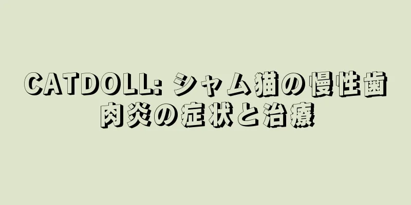 CATDOLL: シャム猫の慢性歯肉炎の症状と治療