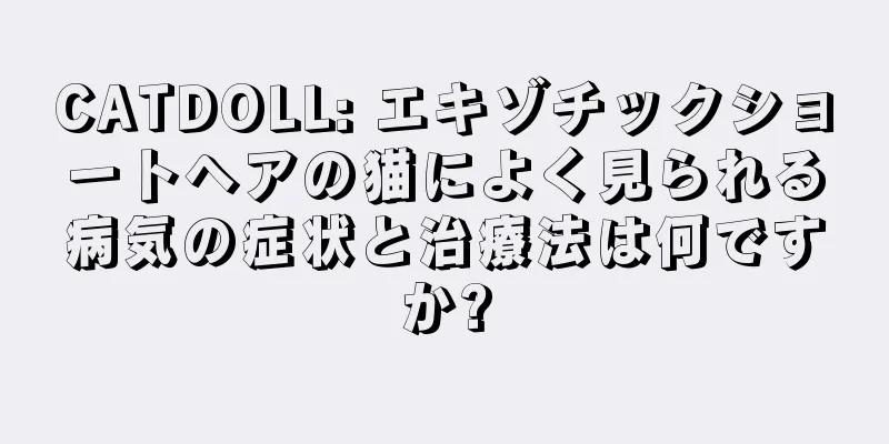 CATDOLL: エキゾチックショートヘアの猫によく見られる病気の症状と治療法は何ですか?