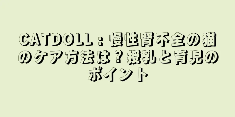 CATDOLL : 慢性腎不全の猫のケア方法は？授乳と育児のポイント