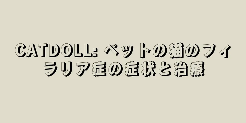 CATDOLL: ペットの猫のフィラリア症の症状と治療