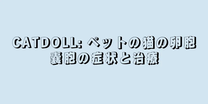 CATDOLL: ペットの猫の卵胞嚢胞の症状と治療