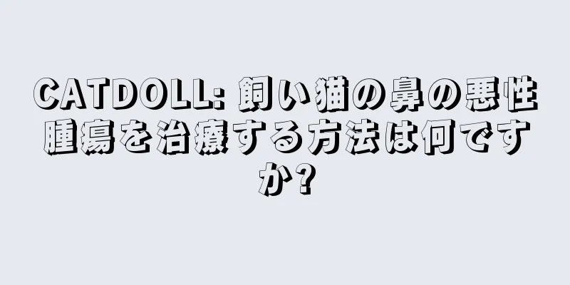 CATDOLL: 飼い猫の鼻の悪性腫瘍を治療する方法は何ですか?