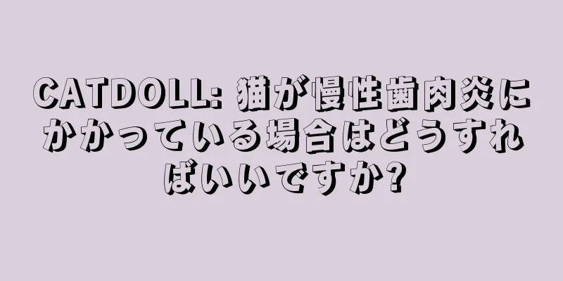 CATDOLL: 猫が慢性歯肉炎にかかっている場合はどうすればいいですか?