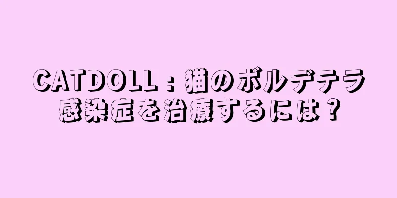 CATDOLL : 猫のボルデテラ感染症を治療するには？