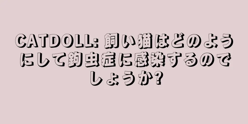 CATDOLL: 飼い猫はどのようにして鉤虫症に感染するのでしょうか?
