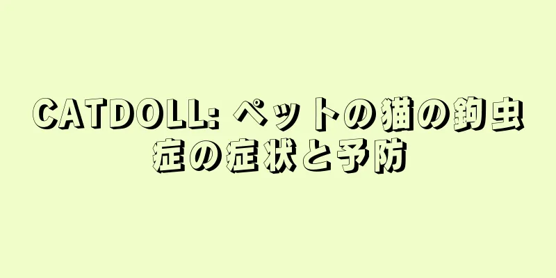 CATDOLL: ペットの猫の鉤虫症の症状と予防