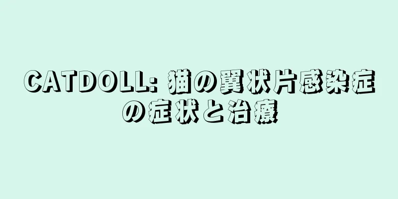 CATDOLL: 猫の翼状片感染症の症状と治療