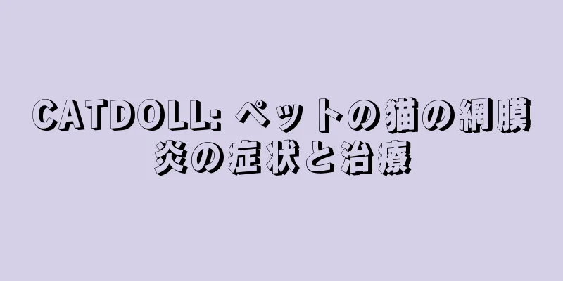 CATDOLL: ペットの猫の網膜炎の症状と治療