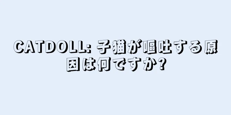 CATDOLL: 子猫が嘔吐する原因は何ですか?